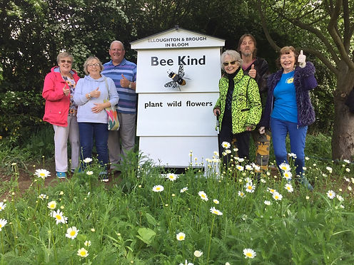 Bee Hive for web site.jpeg