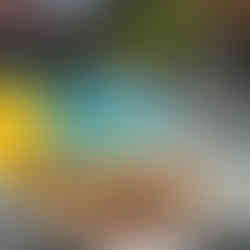 Fotografía capturada por la fotógrafa Cecilia Orrantia