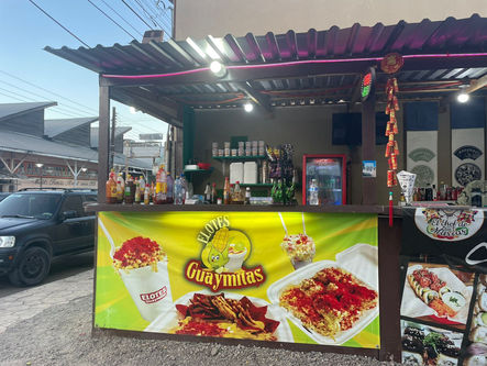 Guaymitas