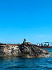 c89e8c58-406d-4f39-ab0f-a40941d72042.jpg