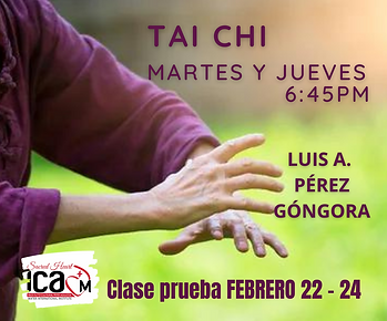Tai chi Principiantes. .png