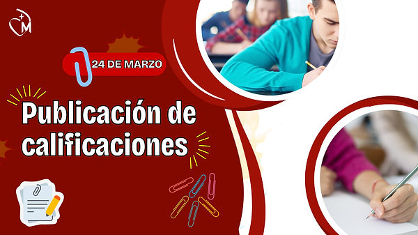 calificaciones (4).png