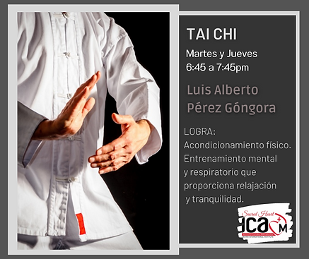S-22 Tai chi (1).png