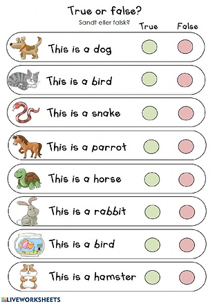 TRUE OR FALSE.png