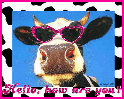 picgifs-cow-3916861.gif