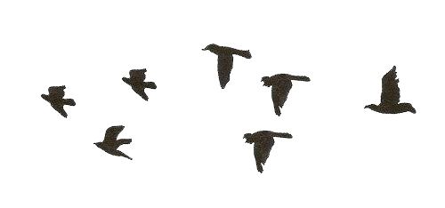 8c65GEKoi.gif