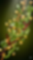 Gemini_Generated_Image_b0hrb7b0hrb7b0hr
