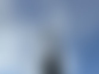 Moe's Arborists have been busy throughout the spring...