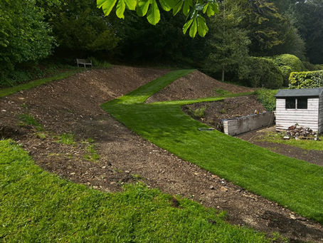Landscaping a garden