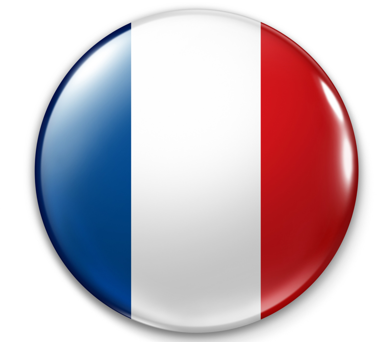 French flag icon