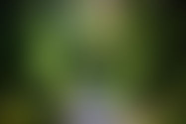 Vieraskynä: Avaimia läsnäolon harjoittamiseen - ja sen haasteisiin, osa 2 / 2