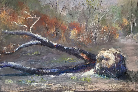 Soft Pastel Painiting