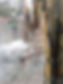 71199947_2717398841646353_5758336441285345280_n_edited.jpg