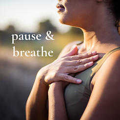 pause & breathe web image.png