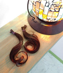 IMG00206 (1).1.jpg
