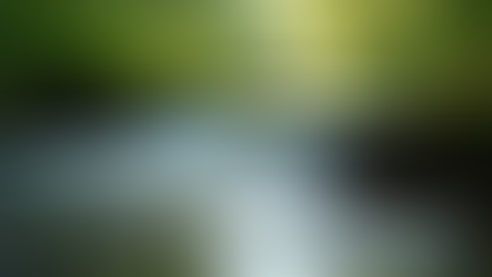 The Art of Mindful Living