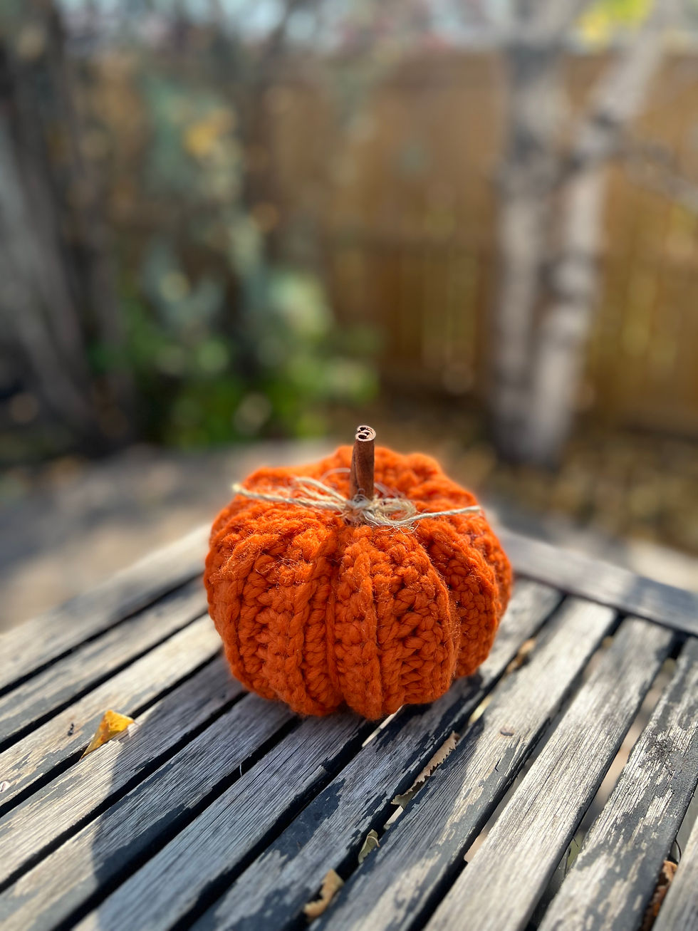 Thumbnail: Crocheted Pumpkins (various sizes)