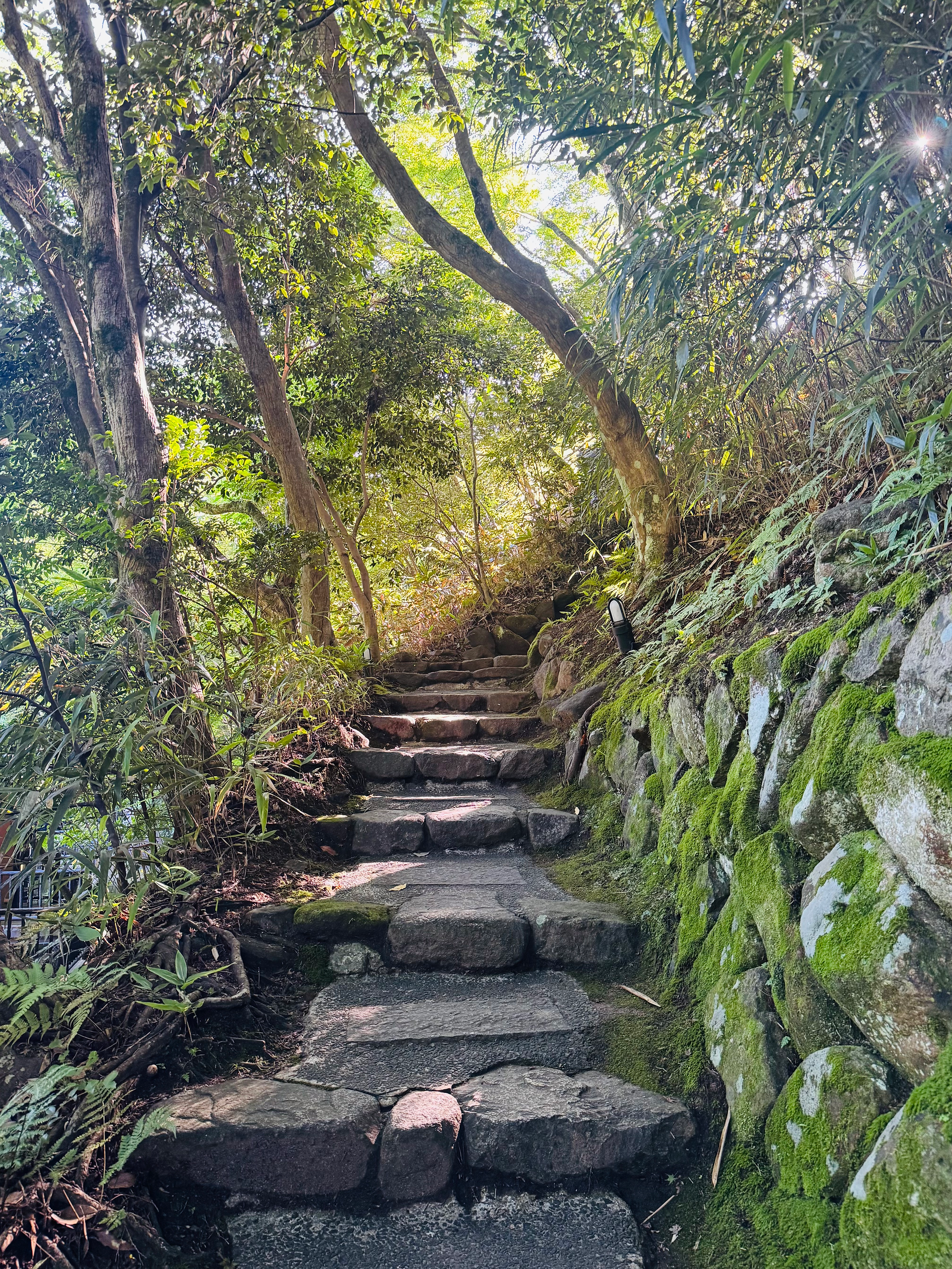 Serene stone steps along a green mountain road.