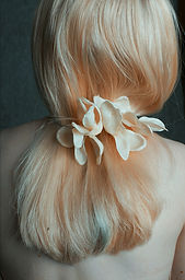 NATURE - fake illusions