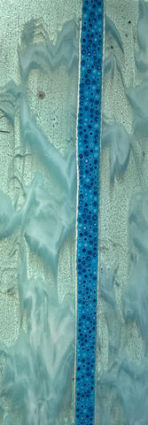 IMG_2145.jpeg