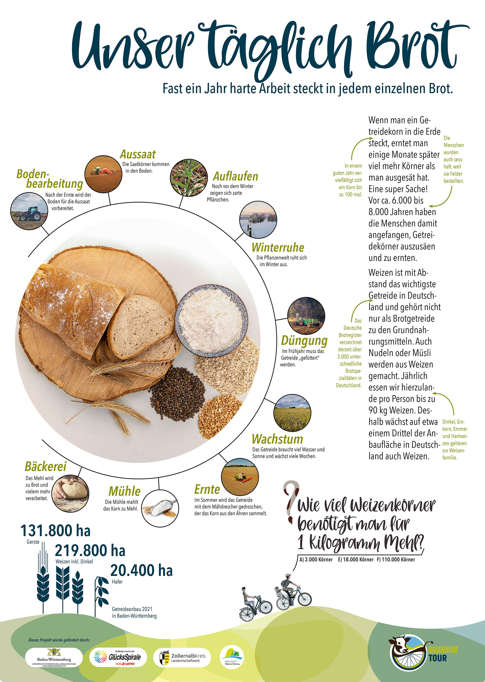 Eine Informationstafel der Bauernhoftour über das Thema Brot