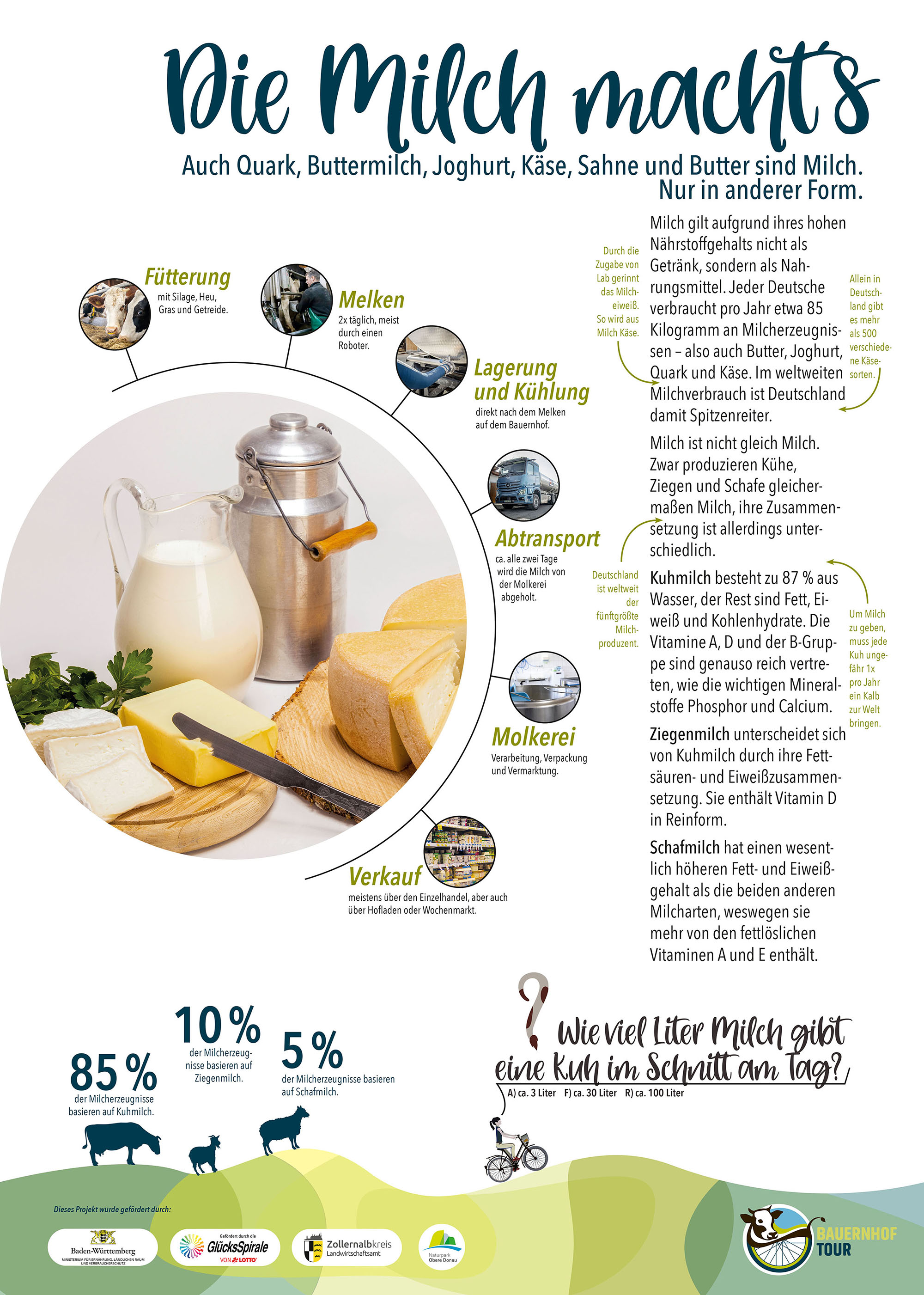 Eine Informationstafel der Bauernhoftour über das Thema Milch
