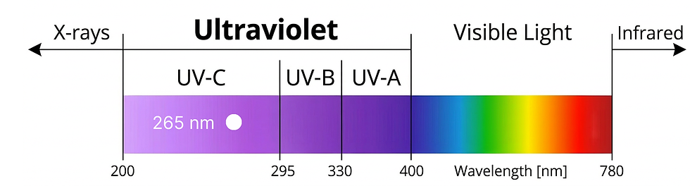 UV-Spektrum_E_265.png