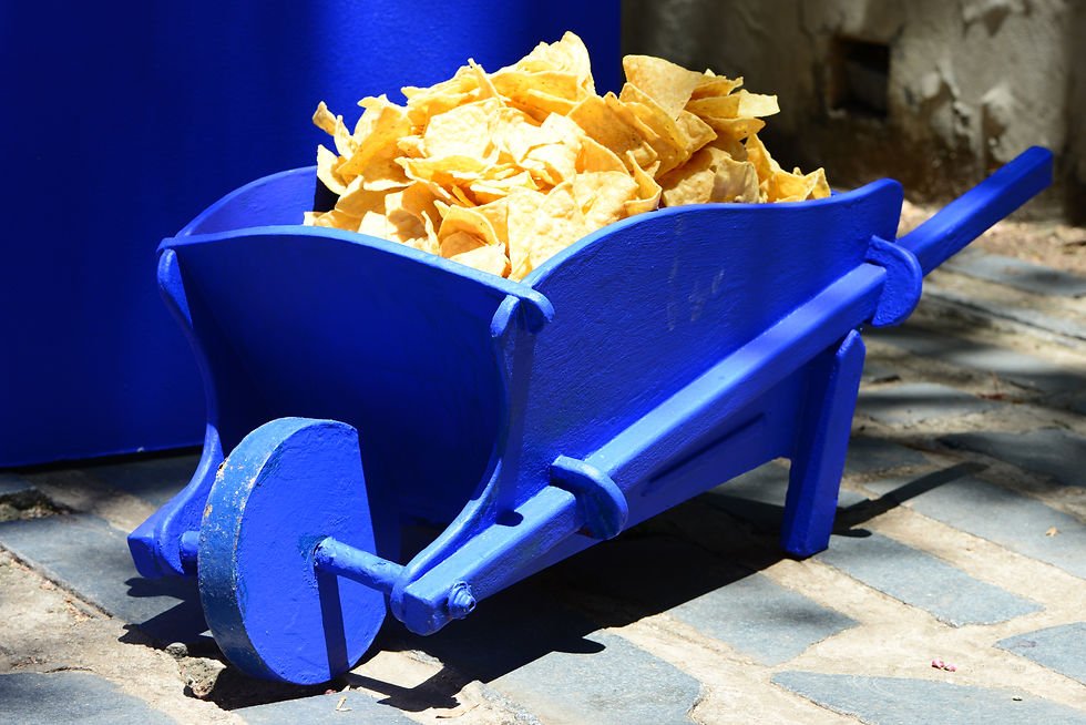 majorelle-blue