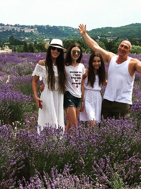 Provence family lavender