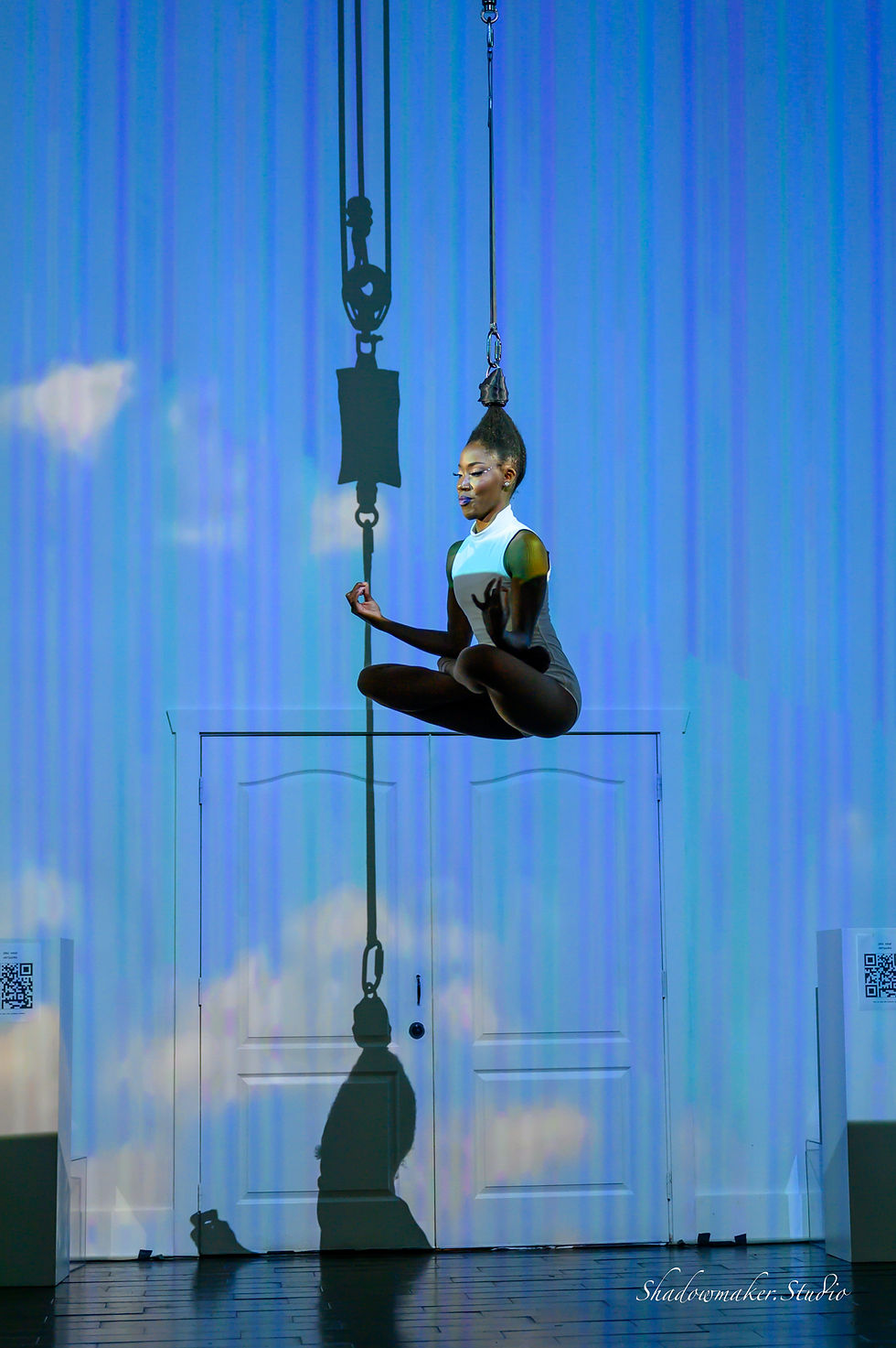 Atlanta Hair Hanging