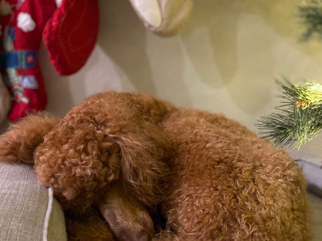 After the Christmas Holiday