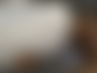 Puppy Pick Days were successful!