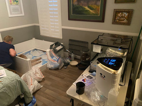 A Crazy Day in the Life of a Dog Breeder