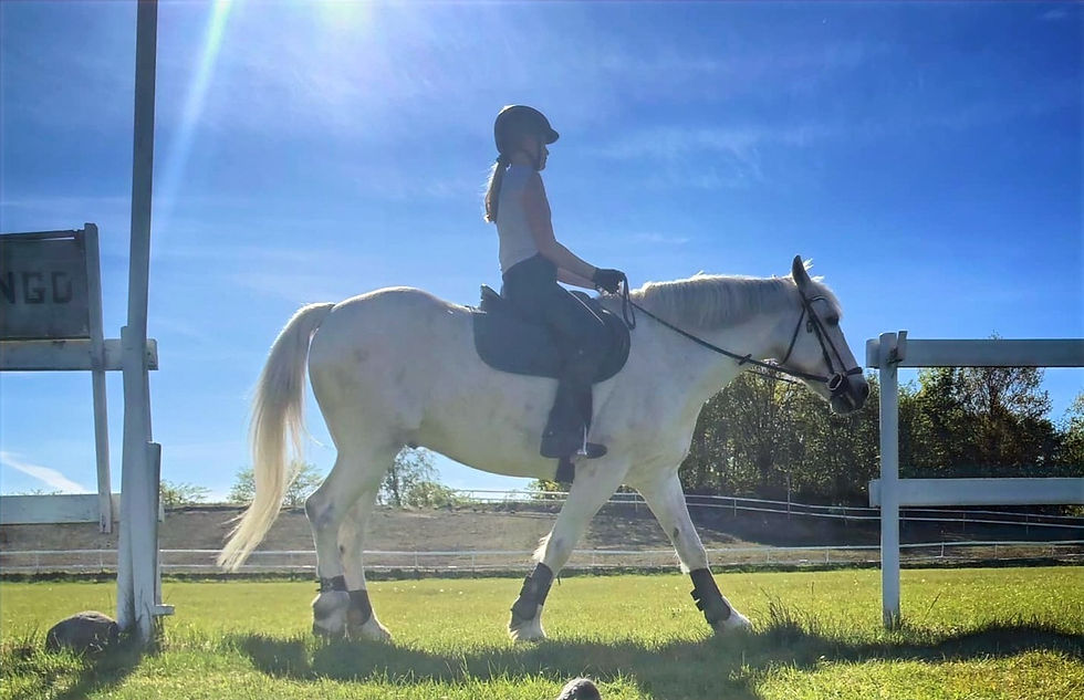 alice på granit