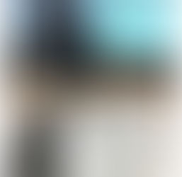 知財価値評価（先端情報）セミナー 米国CEIV制度