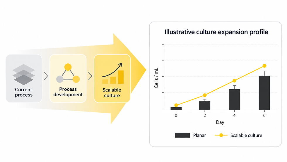Process Development Image.png