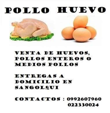 Pollos y huevos