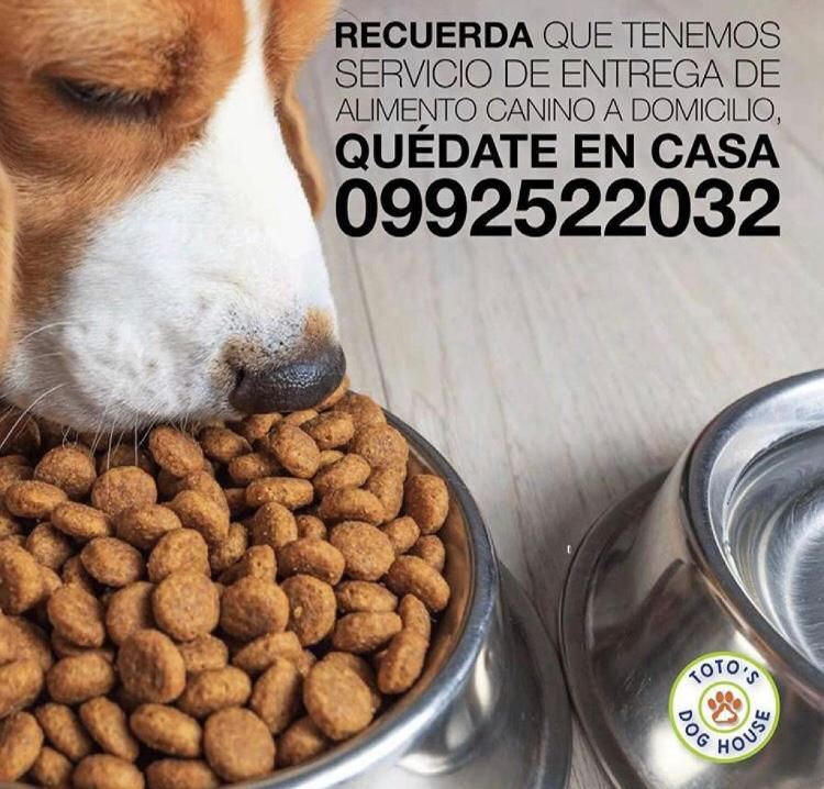 Alimento para mascota