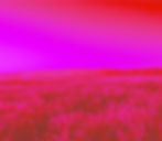 Hot Welcome Background 2 copy.jpg