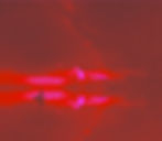Hot Welcome Background 3.jpg
