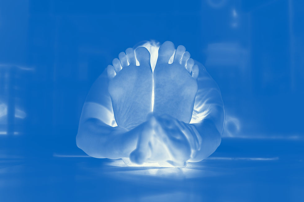 ZPPT Negative 12.jpg