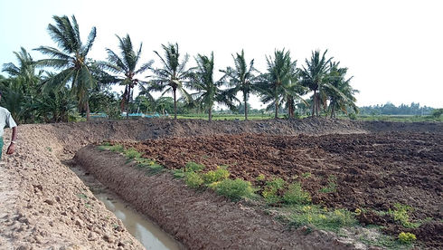 Integrated Farming System- Photo.jpeg