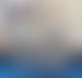 Christmas Success for 3 new Shodans