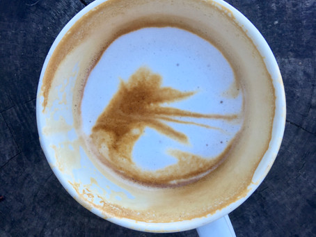Coffee - Part 1