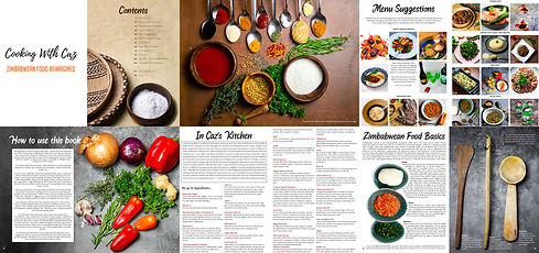 Introduction pages.jpg