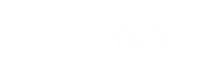 VeloHub_Logo_white.png