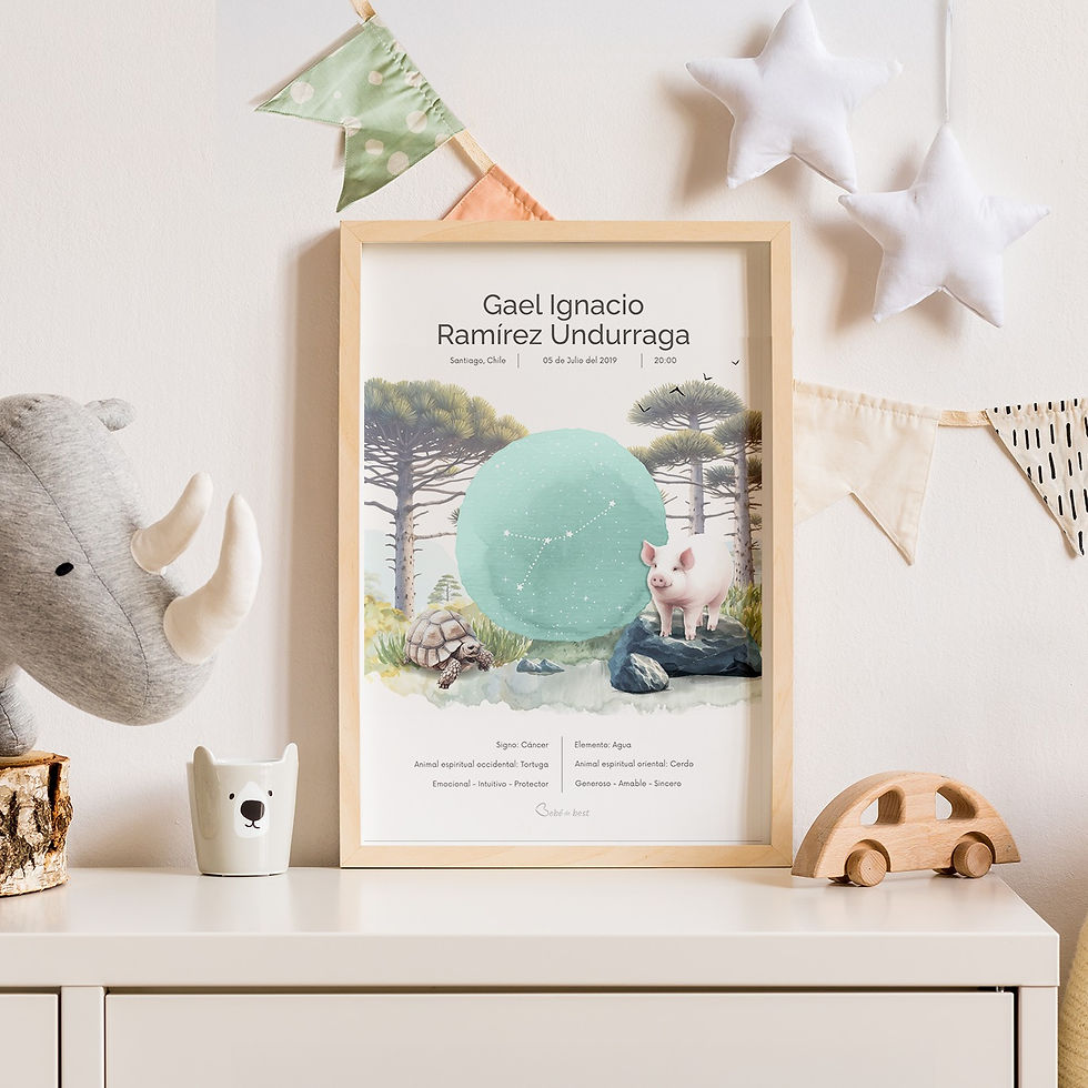 Miniatura: Poster nacimiento