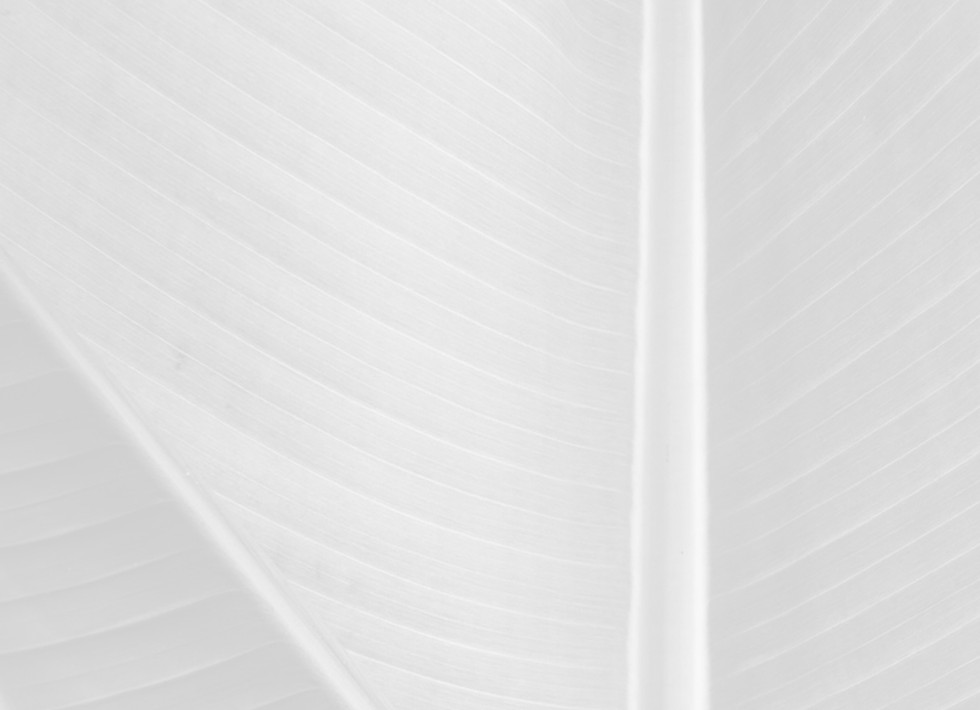 background.jpg