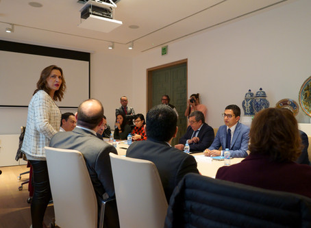 V Reunión de la Región Europa de la RGMx (Madrid)