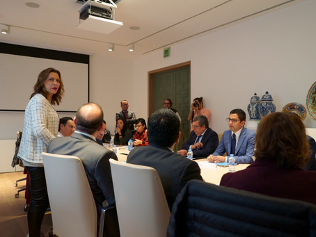 V Reunión de la Región Europa de la RGMx (Madrid)